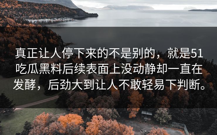 真正让人停下来的不是别的，就是51吃瓜黑料后续表面上没动静却一直在发酵，后劲大到让人不敢轻易下判断。